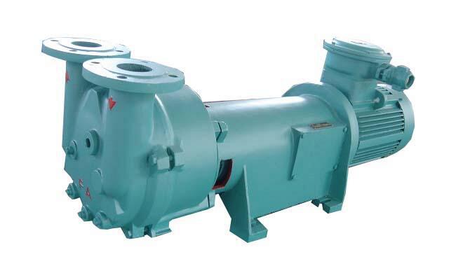 2BV6110 Liquid Ring Vacuum Pump