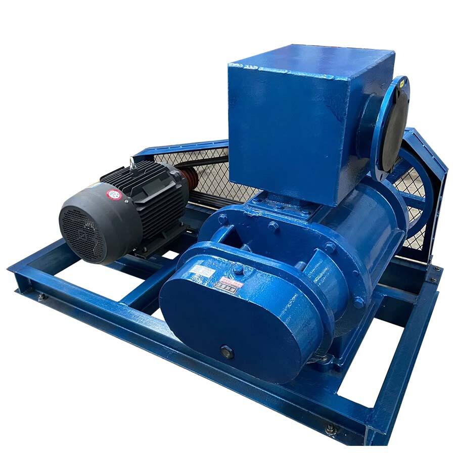 Zbk03 Series Roots Vacuum Pump Zbk03 Series Roots Vacuum Pump