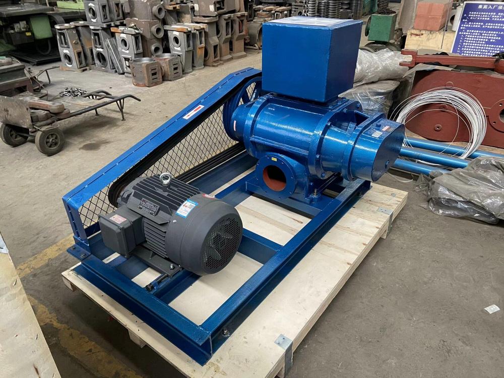 Zbk16 Series Roots Vacuum Pump Zbk16 Series Roots Vacuum Pump