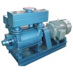 2BE1403-0 Liquid Ring Vacuum Pump/Vacuum Pump