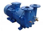 2BV6161 Liquid Ring Vacuum Pump