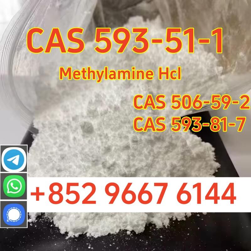 Purity 99% Methylamine hydrochloride CAS 593–51–1 Large quantity available from stock