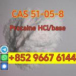 High quality cas 51-05-8 procaine Hcl in stock