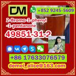 Manufacturer Supply Raw Material CAS 49851-31-2 2-Bromo-1-phenyl-1-pentanone