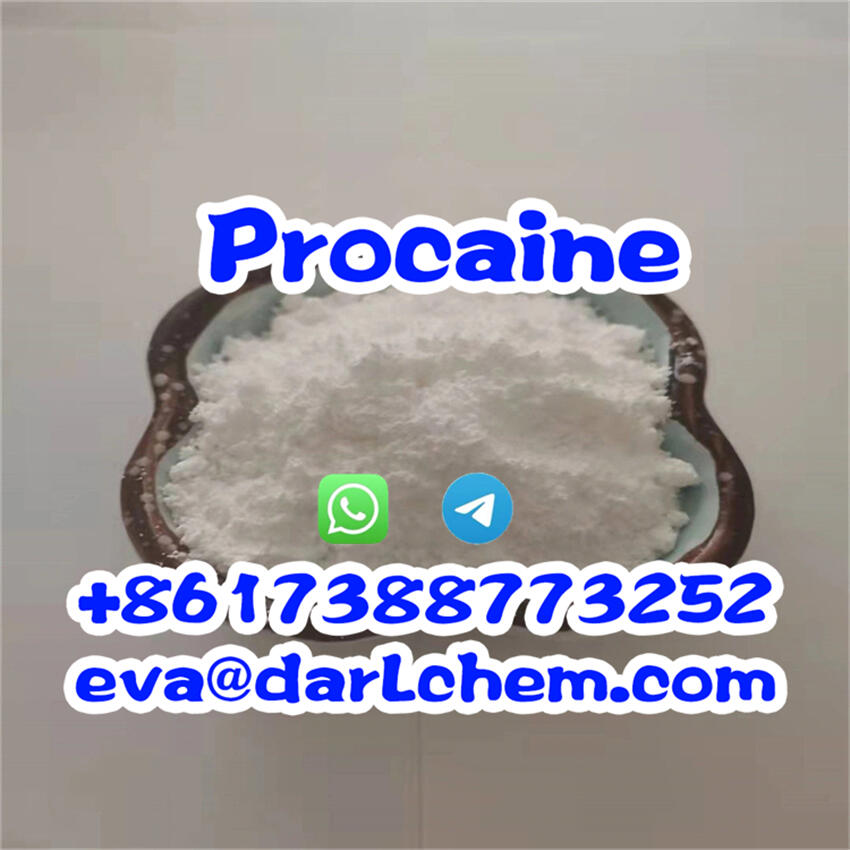 Europe Canada USA Spain France etc 99% Purity Procaine Procain Procaina Powder 100% Pass Customs