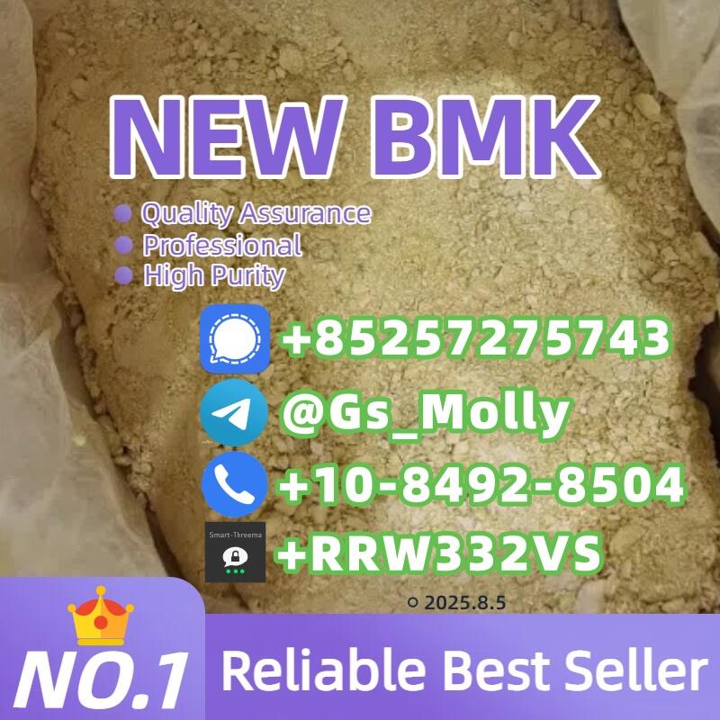 Premium B M K Glycidate Powder CAS 5413-05-8 Reliable Supplier for Research