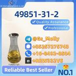 Research-Grade CAS 49851-31-2 | Specialty Chemical | Sealed Packaging