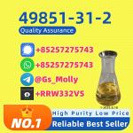 Premium 49851-31-2 | For Research Use Only | Fast Shipping - Раздел: Компьютеры оптом