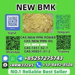 5449-12-7 B.M.K P.owder Supplier – Competitive Price & Fast Delivery