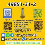 Hot Sale 49851-31-2 Reliable Supplier