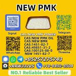 New PMK Powder 28578-16-7 Bulk Supplier Trusted Source