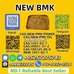 New BMK Powder 5449-12-7 Secure Global Delivery