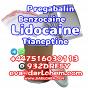 Lidocaine Tianeptine pregabalin raw Powder 137-58-6 High Quality