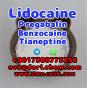 Lidocaine Tianeptine pregabalin raw Powder 137-58-6 Hot Sale