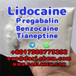 Lidocaine Tianeptine pregabalin raw Powder 137-58-6 China Factory