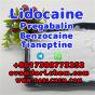 Lidocaine Tianeptine pregabalin raw Powder 137-58-6 China Factory