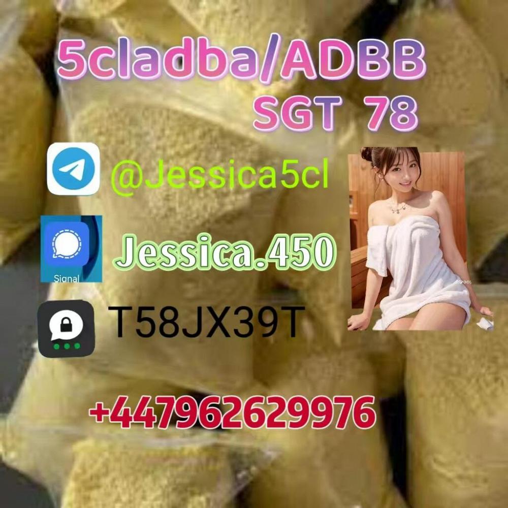 Noids raw materials 5cl-adb-a 5cladba ADBB powder pmk