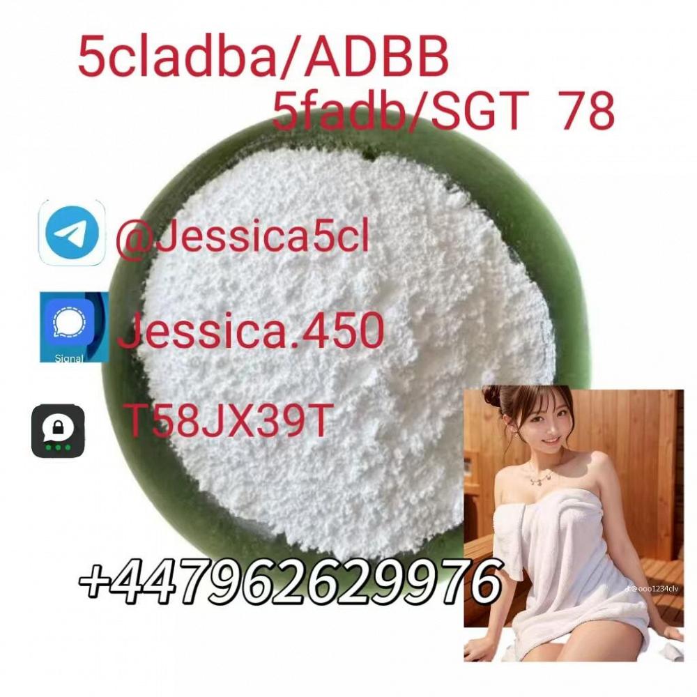 jessica