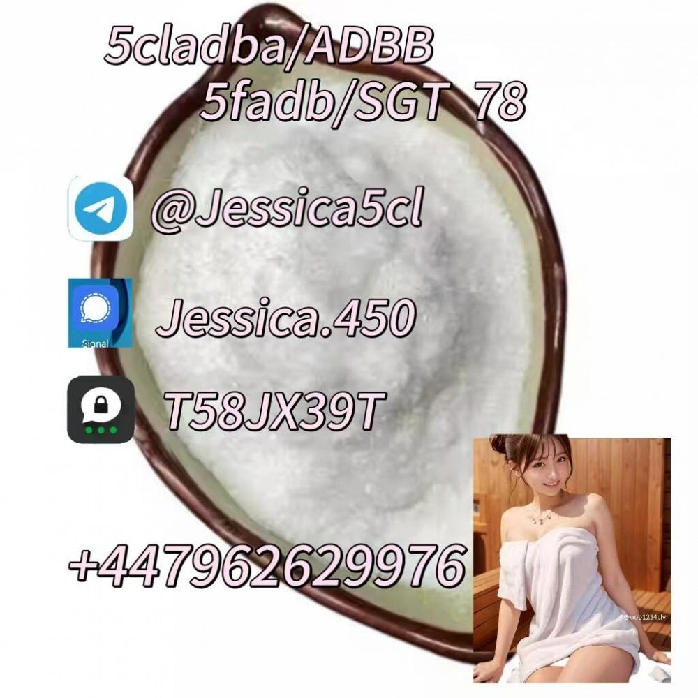Noids raw materials 5cl-adb-a 5cladba ADBB powder Noids raw materials 5cl-adb-a 5cladba ADBB powder