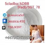 jessica