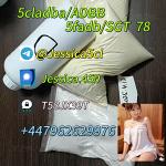 Jessica Ll
