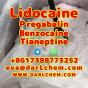 Lidocaine Tianeptine pregabalin raw Powder 137-58-6 Factory