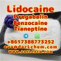 Lidocaine Tianeptine pregabalin raw Powder 137-58-6 Factory