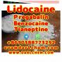 Lidocaine Tianeptine pregabalin raw Powder 137-58-6 Factory