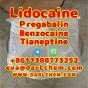 Lidocaine Tianeptine pregabalin raw Powder 137-58-6 Good Price