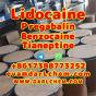 Lidocaine Tianeptine pregabalin raw Powder 137-58-6 Factory
