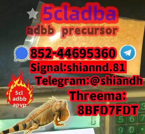cas:2709672-58-0 5cladba yellow powder 5cl 5cl-adba 5CL-ADBA adbb cas:2709672-58-0 5cladba yellow powder 5cl 5cl-adba 5CL-ADBA adbb