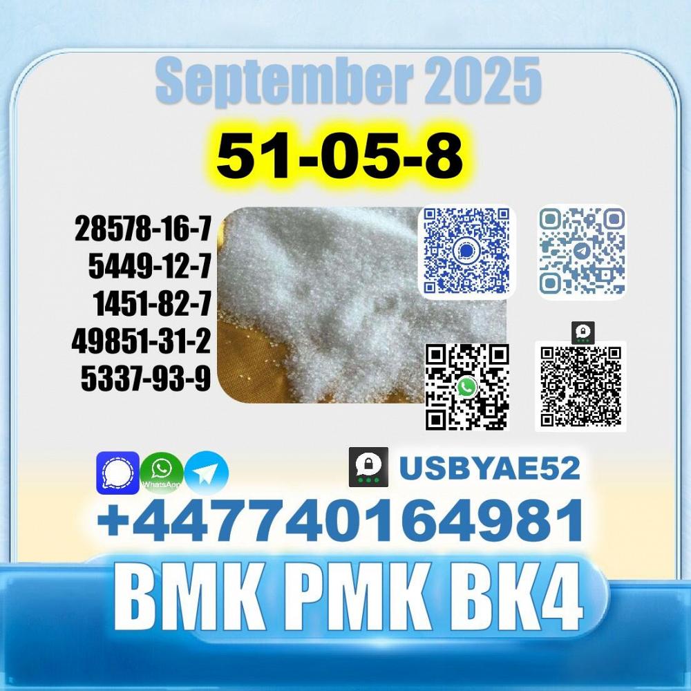 Procanine hcl 51-05-8 bk4 bvf PMK Stable Supply