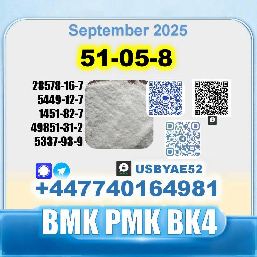51-05-8 Procaine HCl bvf bk4/2b4m BMK pmk safe delivery