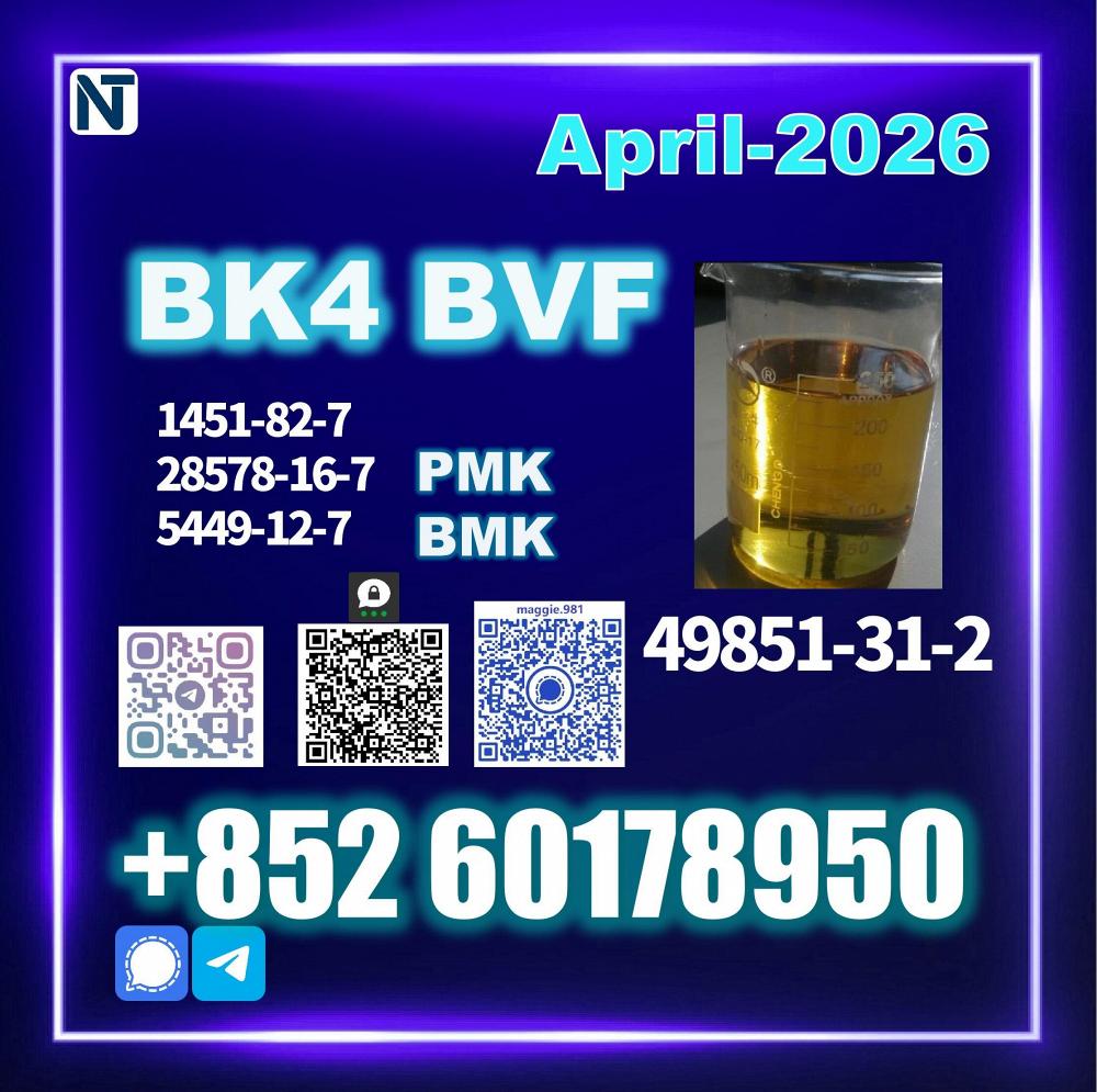49851-31-2 (2-Bromo-1-Phenyl-Pentan-1-One) bk4 factory Safe delivery