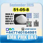 51-05-8 Procaine HCl bvf bk4/2b4m BMK pmk safe delivery