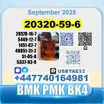 20320-59-6 BMK oil Diethyl (phenylacetyl) malonate SourceFactory - Раздел: Медицинские товары, фармацевтическая продукция