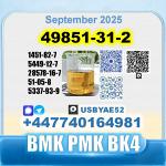 49851-31-2 BVF 2-Bromovalerophenone bmk BK4 factory stable supply