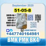 Procaine HCl 51-0-8 bvf bk4/2b4m BMK pmk source factory