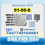51-05-8 Procaine HCl bvf bk4/2b4m BMK pmk safe delivery