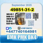 49851-31-2 2-Bromo-1-Phenyl-Pentan-1-One 2b4m безопасная доставка с завода-изготовителя - Раздел: Медицинские товары, фармацевтическая продукция