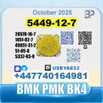 5449-12-7 BMK PMK bk4 1451-82-7 factory stable supply