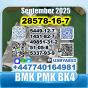 PMK ethyl glycidate 28578-16-7 BMK source factory