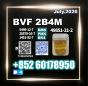 Fresh CAS 49851-31-2 bvf 1451-82-7 High output