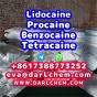 Lidocaine Benzocaine Procaine raw Powder 137-58-6 Factory
