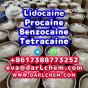Lidocaine Benzocaine Procaine raw Powder 137-58-6 Factory