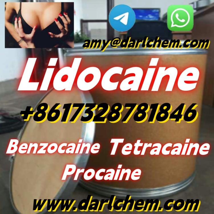 Factory Supply 99.9% Pure Lidocaine powder CAS 6108-05-0 Lidocaine powder Hydrochloride Factory Supply 99.9% Pure Lidocaine powder CAS 6108-05-0 Lidocaine powder Hydrochloride