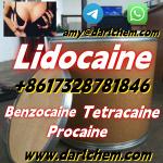 Factory Supply 99.9% Pure Lidocaine powder CAS 6108-05-0 Lidocaine powder Hydrochloride