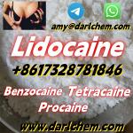 Lidocaine Benzocaine Procaine raw Powder 137-58-6 Low price