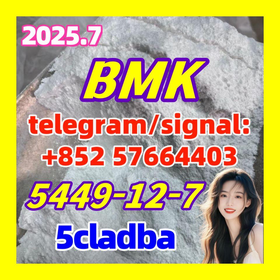 5449-12-7 BMK PMK Chemical raw materials glycidyl acid 718-08-1 10250-28-7