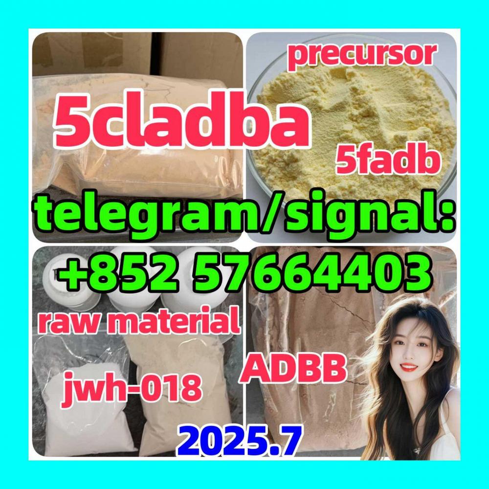 AMD 1600, 5cladba Raw Material 5CL-ADB-A Precursor Raw 5cladba 5f Adb,